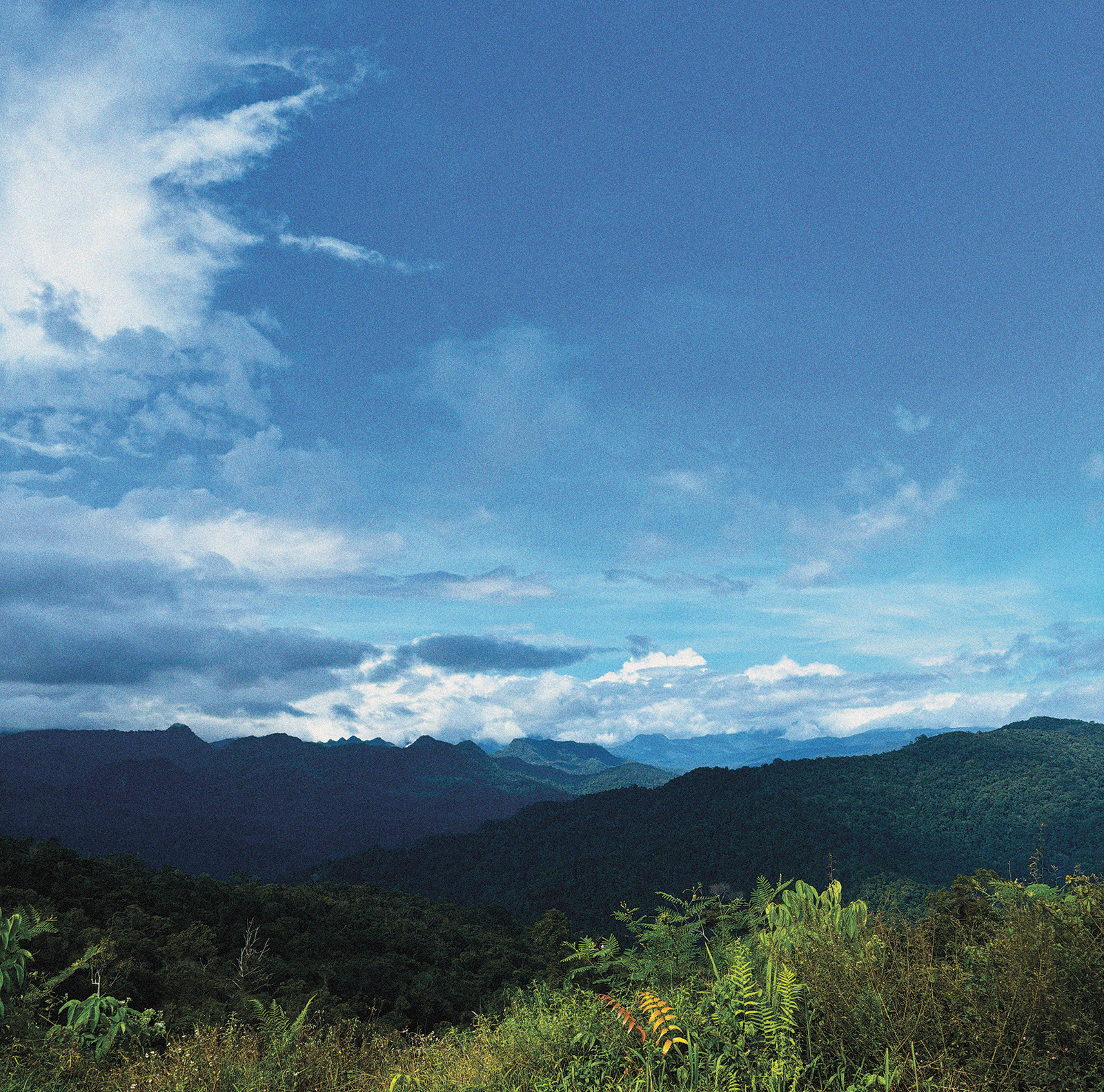 Picture taken on top of a mountain in Maluku Ceram